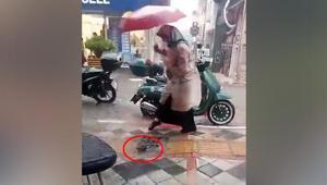 Canlı yayın yaparken gözlerine inanamadı Mazgaldan çıkan görenleri korkuttu