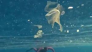 Antalyada denize girenler plastik atıkların arasında yüzdü Uzman isimden kritik uyarı