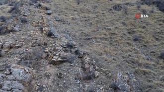 Elazığ’da dağ keçileri böyle görüntülendi
