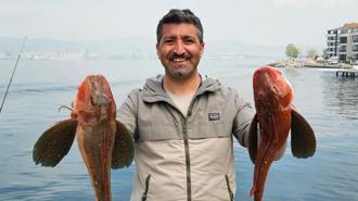 Amatör balıkçı toplam 6 buçuk kiloluk 2 balık yakaladı