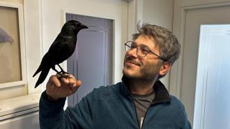 Doktorun karga ile olan dostluğu şaşırtıyor 