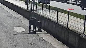Jandarma, nefes borusuna yiyecek kaçan çocuğu 'Heimlich' manevrasıyla kurtardı
