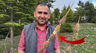 Tüm köy ihya oldu: Altın bulsak belki bu kadar sevinmeyiz