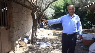 ‘Bu benim en uysal hayvanım' dedi… Dakikalar sonra yaşananlara inanamadı