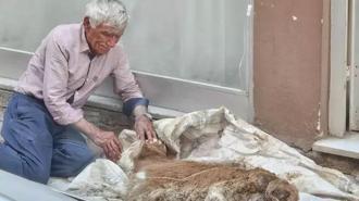 Hasta buzağısına bebek gibi sarıldı! Saatlerce gözyaşı döktü