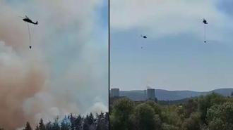 Bursa'da orman yangını
