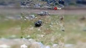 Batman'da feci kaza! Bilirkişilerin olduğu araç şarampole yuvarlandı: 3 ölü