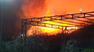 Aliağa ilçesindeki ormanlık alanda çıkan yangına müdahale ediliyor