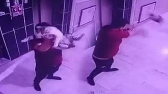 Konya’da vahşet! Hamile kediyi kameraya gösterip yere fırlattı
