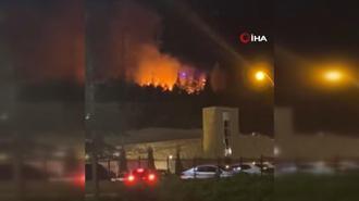 Konya'da atılan havai fişek ağaçlık alanı yaktı