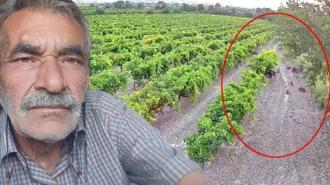 Hırsızlara karşı kamera koydu, görüntüyü izleyince şoke oldu! ‘Çok dikkatli olmalıyız’