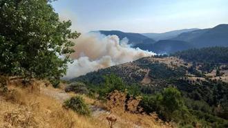 Bursa-Balıkesir sınırında orman yangını... Bir köy tahliye edildi!