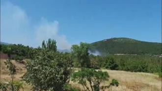 Aydos Ormanı'nda yangın