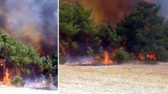Çanakkale'de orman yangını! Çok sayıda ekip sevk edildi
