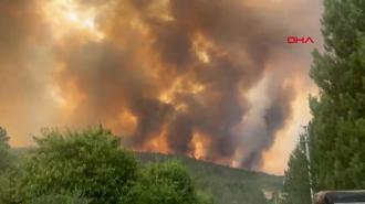 Bursa Harmancık'ta orman yangını yeniden alevlendi