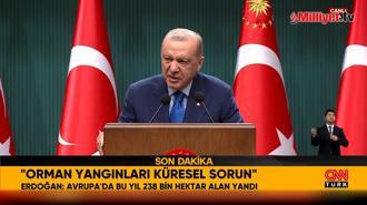 Erdoğan'dan orman yangınlarıyla ilgili son dakika açıklaması: 51 ilde AFAD devreye girecek!