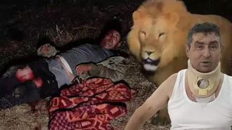 Antalya’da aslan saldırısında yaralanmıştı! Günler sonra ortaya çıktı