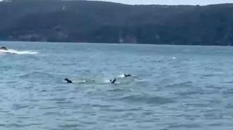 Beykoz'da tekne alabora oldu! 1 kişi hayatını kaybetti