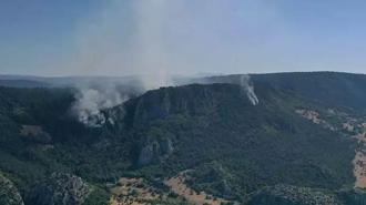 Sinop’taki orman yangınında 2. gün!