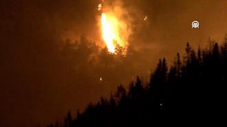 Göksun ilçesinde çıkan orman yangınına müdahale ediliyor