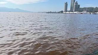 Deniz kahverengiye döndü, koku dayanılmaz hale geldi