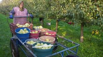 Devlet desteğiyle 21 yıl önce üretime başladılar