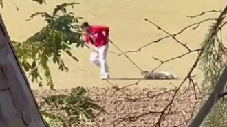 Sokak köpeğini iple sürüklemişti! Belediye personeli ile ilgili karar belli oldu