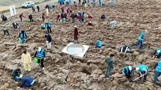 11 Kasım Milli Ağaçlandırma Günü'nde 'çifte rekor' kırıldı