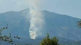 Muğla'da orman yangını! Ekipler müdahale ediyor