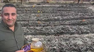 Dünyanın en pahalı baharatı! Harita mühendisi keşfetti