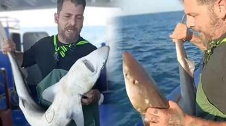 Ağa takılan köpekbalığı denize bırakıldı