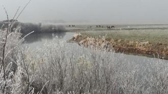 Hava sıcaklığının eksi 14,6 dereceye düştüğü Göle buz tuttu