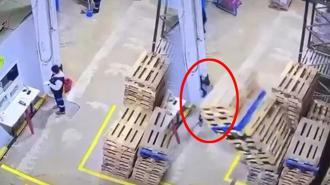 Son anda kurtuldu! Dengesiz yerleştirilen paletler bir anda devrilince...