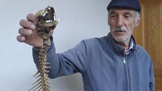 Artvin’de ilginç keşif! 55 cm boyunda yırtıcı dişlere sahip iskelet bulundu: İlk kez böyle bir şey gördüm