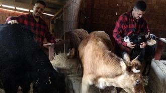 Sisteme dayanamadı kariyeri 'sıfır'ladı: Almanya'da robot olacağıma köyümde çoban olurum