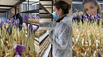 Mesleğinden vazgeçti, üretimine başladı! Gramı 700 liradan satılıyor: Risklerle karşı karşıyasınız