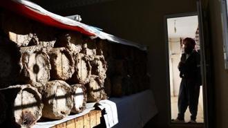 Dünyanın en pahalı ürünü evinin odasından çıkıyor! ‘Kilosunu 10 bin TL’den satıyoruz’