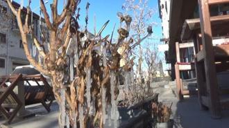 Kars buz tuttu! Termometreler eksi 28’i gösterdi