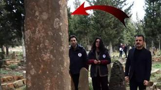 Boyları 4 metreyi buluyor: Türk milletinin tapu senedi