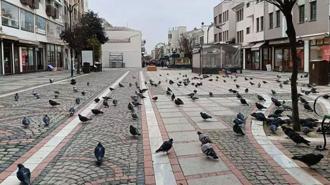 Bir kent sessizliğe büründü! Cadde ve sokaklar boş kaldı