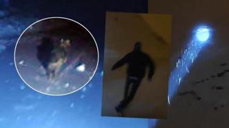 Araçtan inip görüntülemek istedi! Kurt merakının sonu kötü bitti