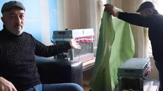 15'inci kattaki evinin oturma odasına arı kovanı sistemi kurdu