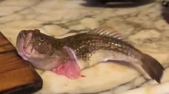 Görür görmez şoke oldu! Organları çıkarıldı, yıkandı, ama hala canlıydı: 'Hazırladığım çorbayı içemedim'