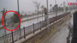 Kontrolden çıkan otomobil refüjdeki ağaca çarparak ters döndü