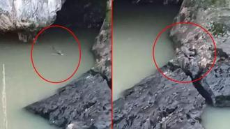 Kaplıcada fark etti, görür görmez telefona sarıldı