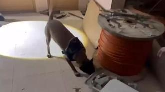 Avcılar'da uyuşturucu operasyonu: 50 kilo 809 gram metamfetamin ele geçirildi