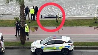 Ünye sahilinde kıyıya vuran cisim ekipleri alarma geçirdi