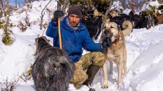 Otopsi yaptırdı, korkunç gerçek ortaya çıktı: Onun sadece adı köpekti
