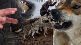 Kurgu değil gerçek! Sivas dağlarında bir Kurt Adam: Eksi 30'da ne elektrik ne su var