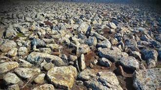 Şanlıurfa’da cephanelik ele geçirildi! Volkanik bazalt taşlarının arasına saklamışlar